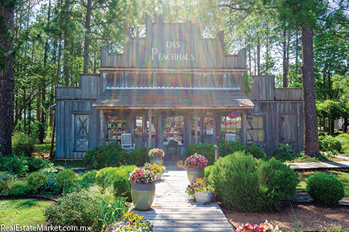 Entrada y jardín de Das Peach Haus.