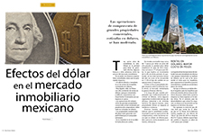 Efectos del dólar en le mercado inmobiliario mexicano - Ricardo Vázquez