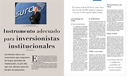 Instrumento adecuado para inversionistas institucionales - Luis Eduardo de la Cerda