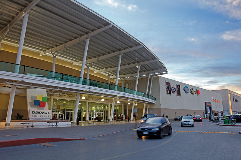 Fashion Mall Chihuahua