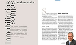 Inmobiliarios sólidos Fundamentales - Víctor Lachica