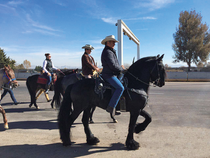 Real Estate,“Voy a un desierto sin agua, porque ser independiente es lo más difícil”.  