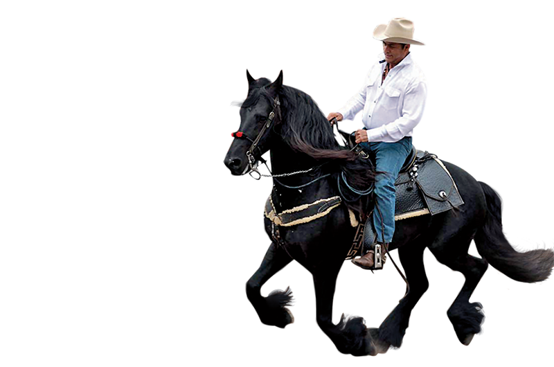 Real Estate, Mi papá me enseñó que el que doma a un caballo, doma la vida.