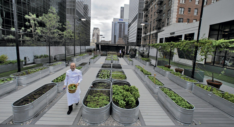 Real Estate Market &amp; Lifestyle,Real Estate,Smart Cities,SMART CITIES,  París permite a los ciudadanos cultivar comida sana en cualquier lugar de la ciudad.