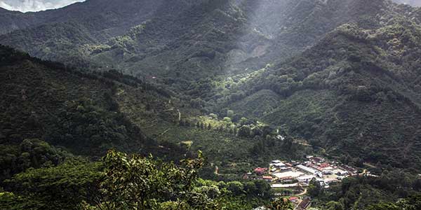 Tren Maya, vanguardia en protección ambiental - Real Estate Market & Lifestyle