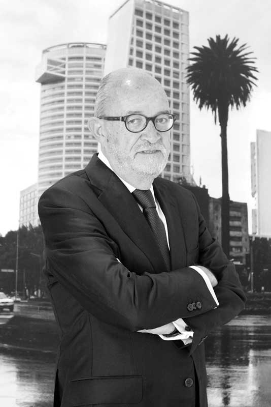 Real Estate Market & Lifestyle,Real Estate,Real Estate México,ADI,30 años de la ADI,Asociación de Desarrolladores Inmobiliarios, Jorge Gamboa de Buen, Director de Desarrollo de Fibra Danhos