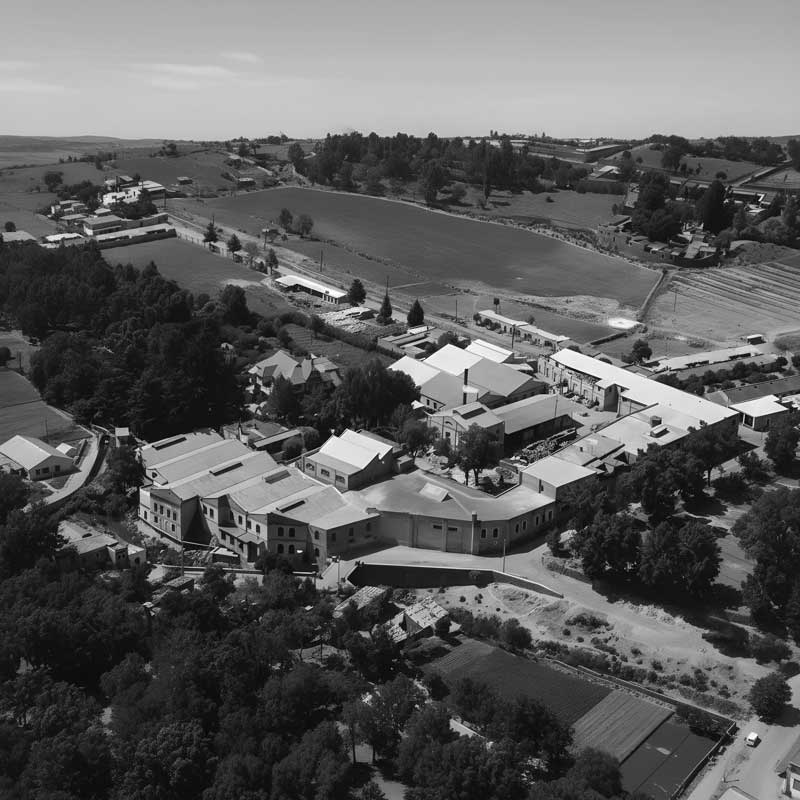 Real Estate Market &amp;amp; Lifestyle,Real Estate,Real Estate México,60 años de Inbursa,Grupo Financiero Inbursa,Inbursa,Ing Carlos Slim,Marco Antonio Slim,Grupo Carso, En el rango de la sostenibilidad Grupo Carso ha generado fuentes de cogeneracion eficiente de energía.