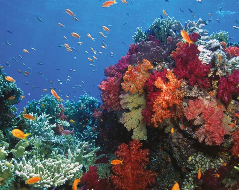 Real Estate Market &amp; Lifestyle,Real Estate,Real Estate México,60 años de Inbursa,Grupo Financiero Inbursa,Inbursa,Ing Carlos Slim,Marco Antonio Slim,Grupo Carso, 