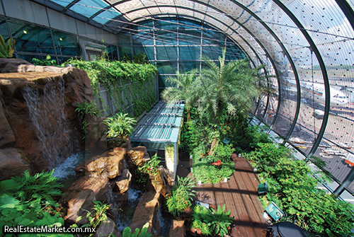 ardín de mariposas al interior de la terminal 3 del Aeropuerto Internacional Changi, Singapur