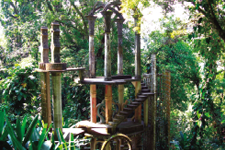 Jardín Escultórico de Edward James, paraíso surrealista - Martha Cueto