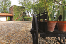 Rancho la Loma, San Miguel de Allende - Real Estate Market & Lifestyle