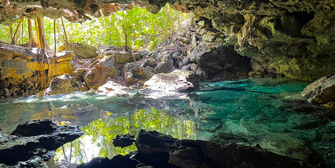 La Fundación Ecológica Eco-Bahia celebra el Día Mundial del Agua