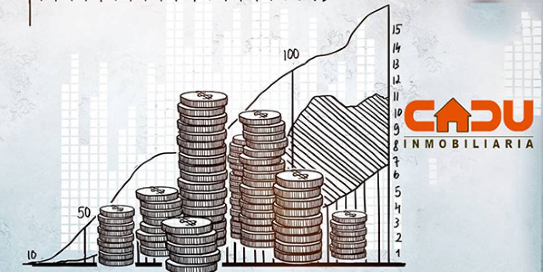 Cadu cierra 1T25 con caída en ingresos de 9.5% y en utilidad neta de 54%