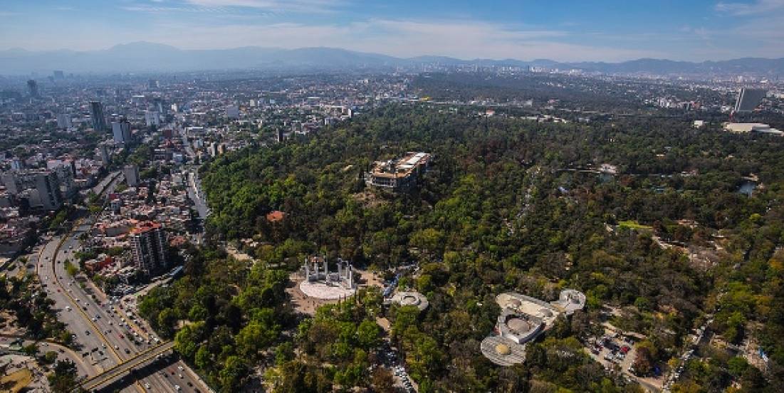 Infraestructura viva: Rol estratégico de los árboles en la planeación urbana