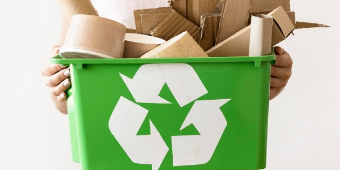 Industria del papel en Latinoamérica avanza hacia la sostenibilidad