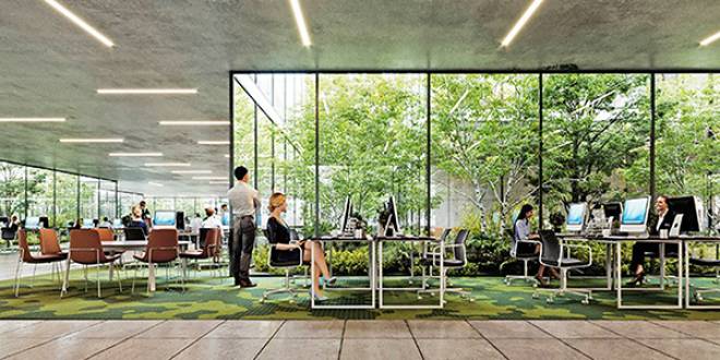 Diseño de oficinas en México: espacios biofílicos, flexibles y de bienestar