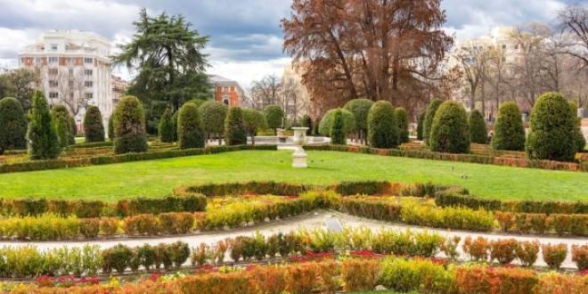 Madrid usará inteligencia artificial para gestionar y conservar sus áreas verdes