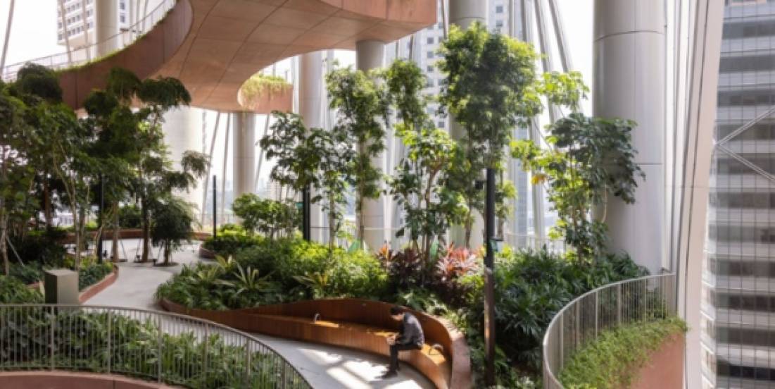 Redescubriendo la conexión con la naturaleza en los espacios que habitamos