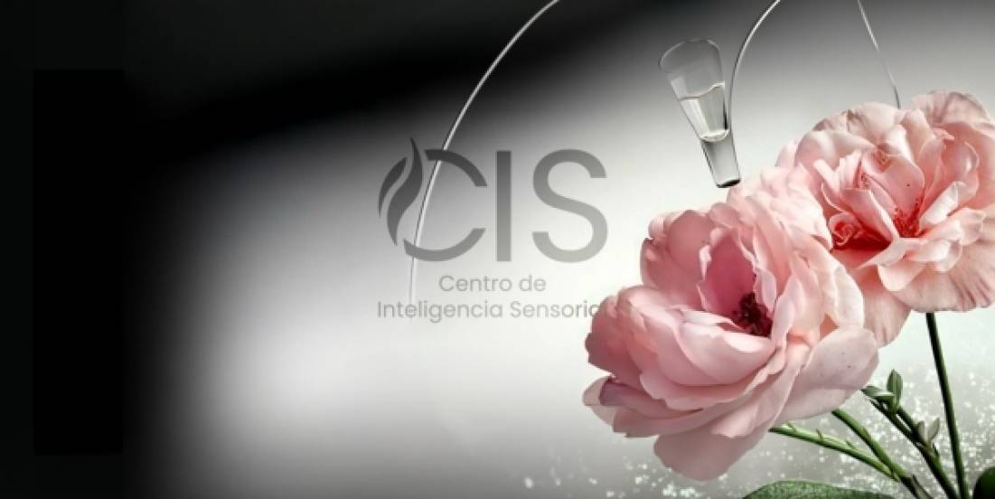 ¿Por qué la identidad olfativa puede hacer que tu marca sea inolvidable?