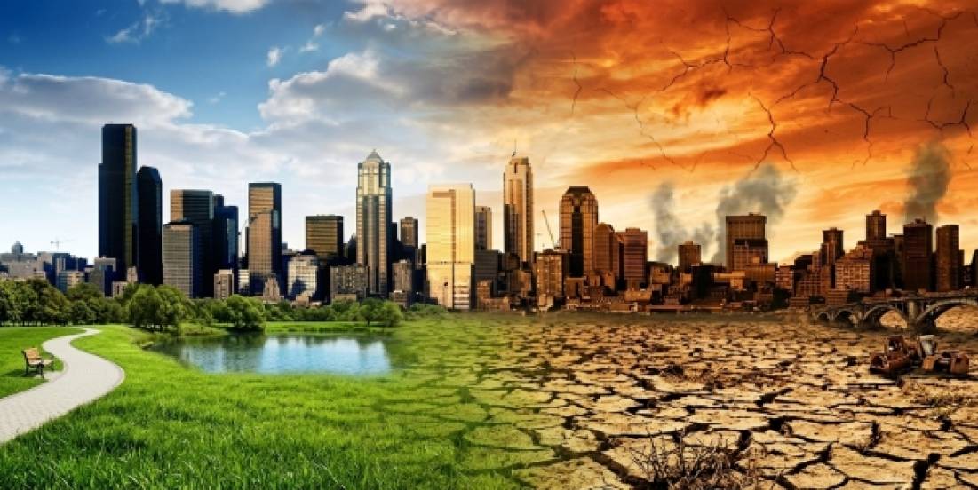 Mercados de carbono: sin política pública, la conservación está en riesgo